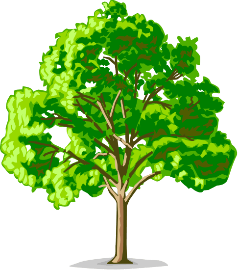 tree4